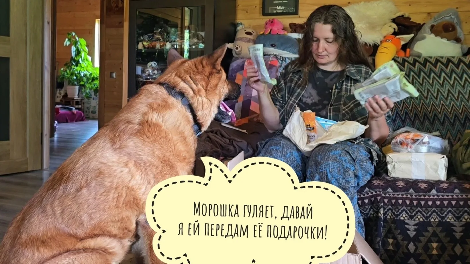 Пёс Кубик пришёл на распаковку подарочков от подписчиков. Кошка Морошка всё прогуляла самапо себе

С