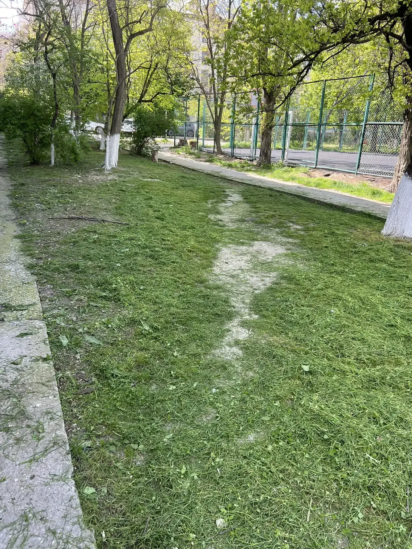 🌿 Весна вступила в свои права — а значит, пришло время привести придомовые территории ...