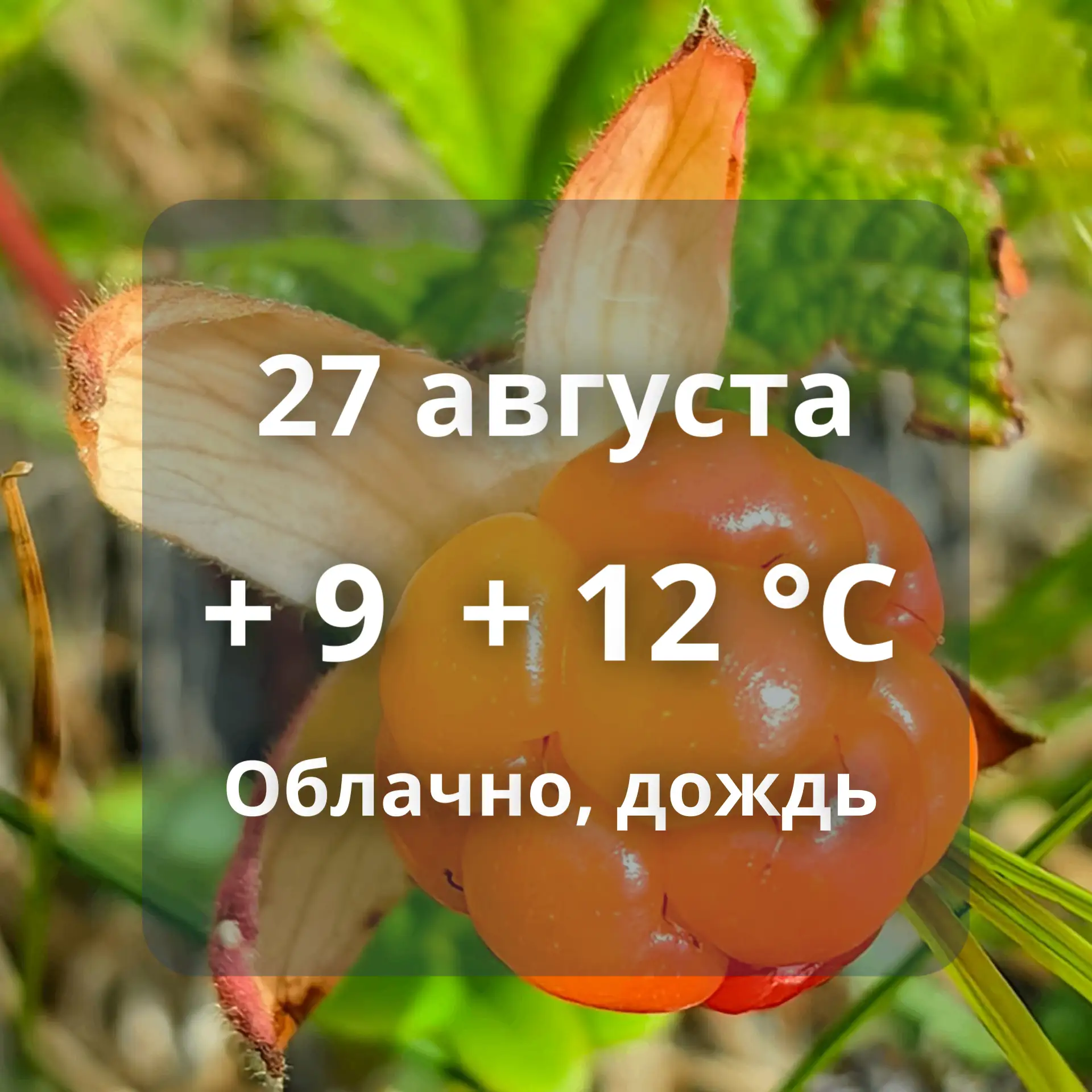 🌧Погода на сегодня в Аксарке