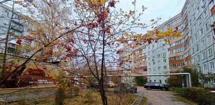 Советы лучших многоквартирных домов определены в Нижнем Новгороде 🏆