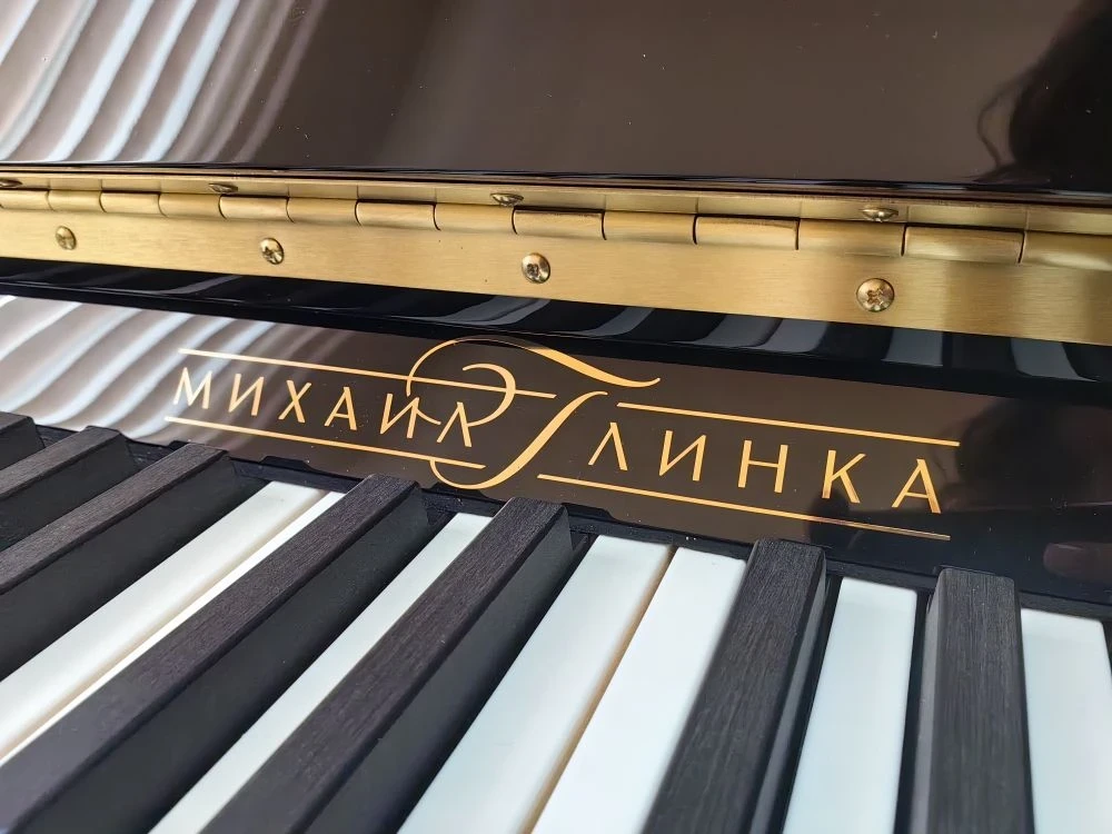 Детская школа искусств № 47 имени М.Ф. Мацулевич г. Новокузнецк принимает участие в реализации регио