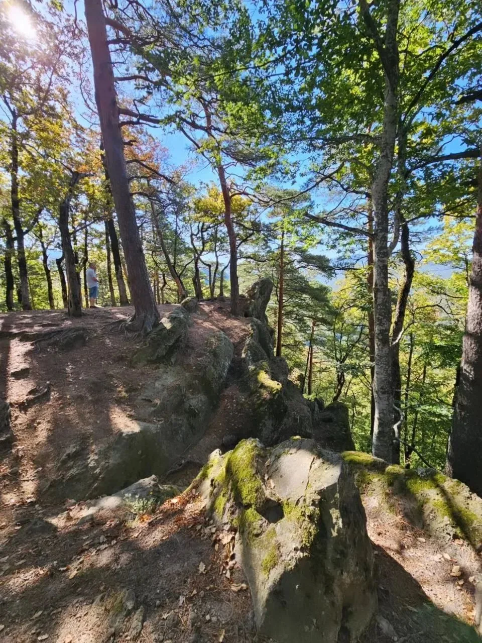 ⛰ Планческие скалы - идея на выходные.