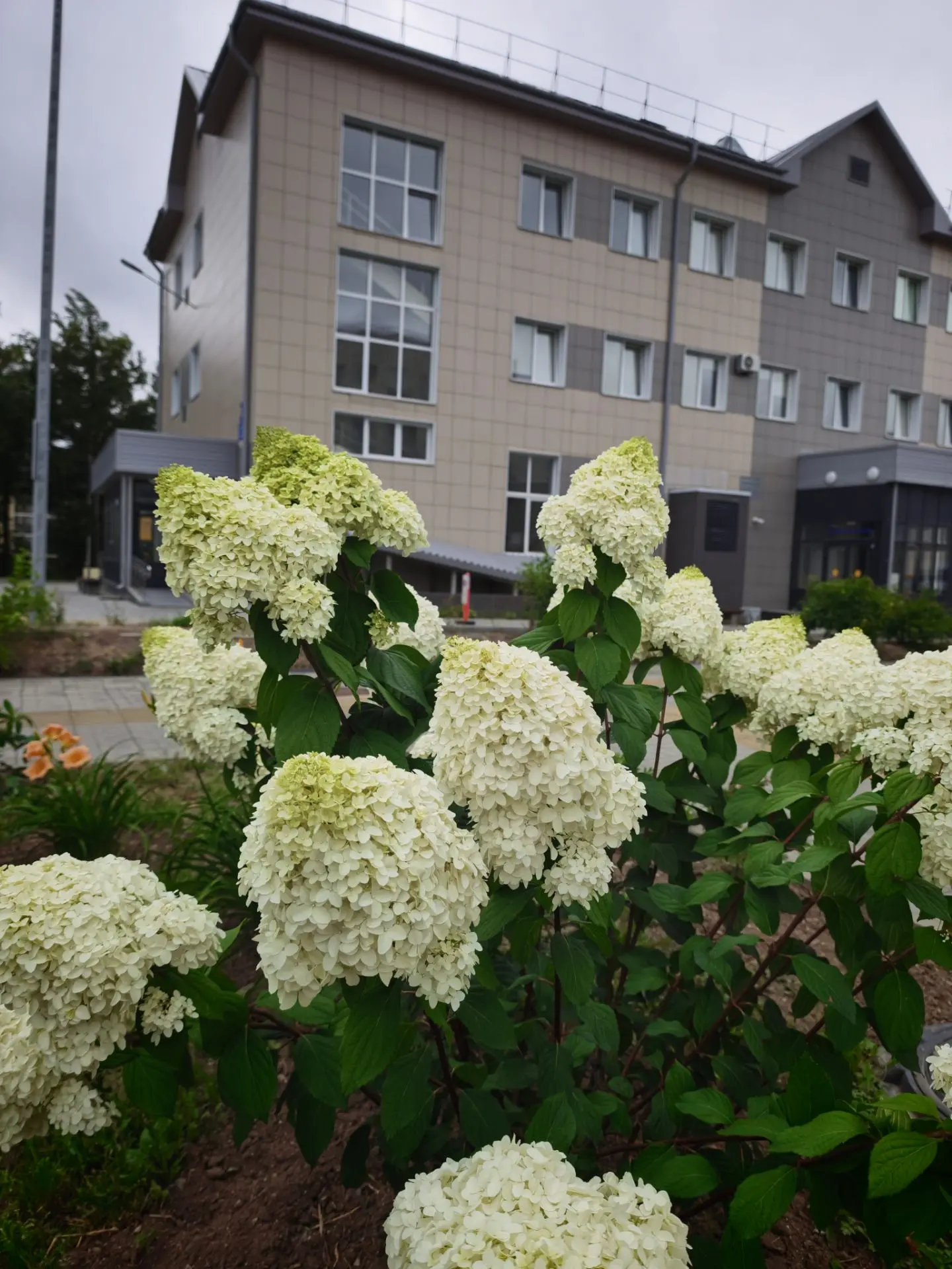 🌱 Искусство маленьких шагов: почему в реабилитации нет мелких побед