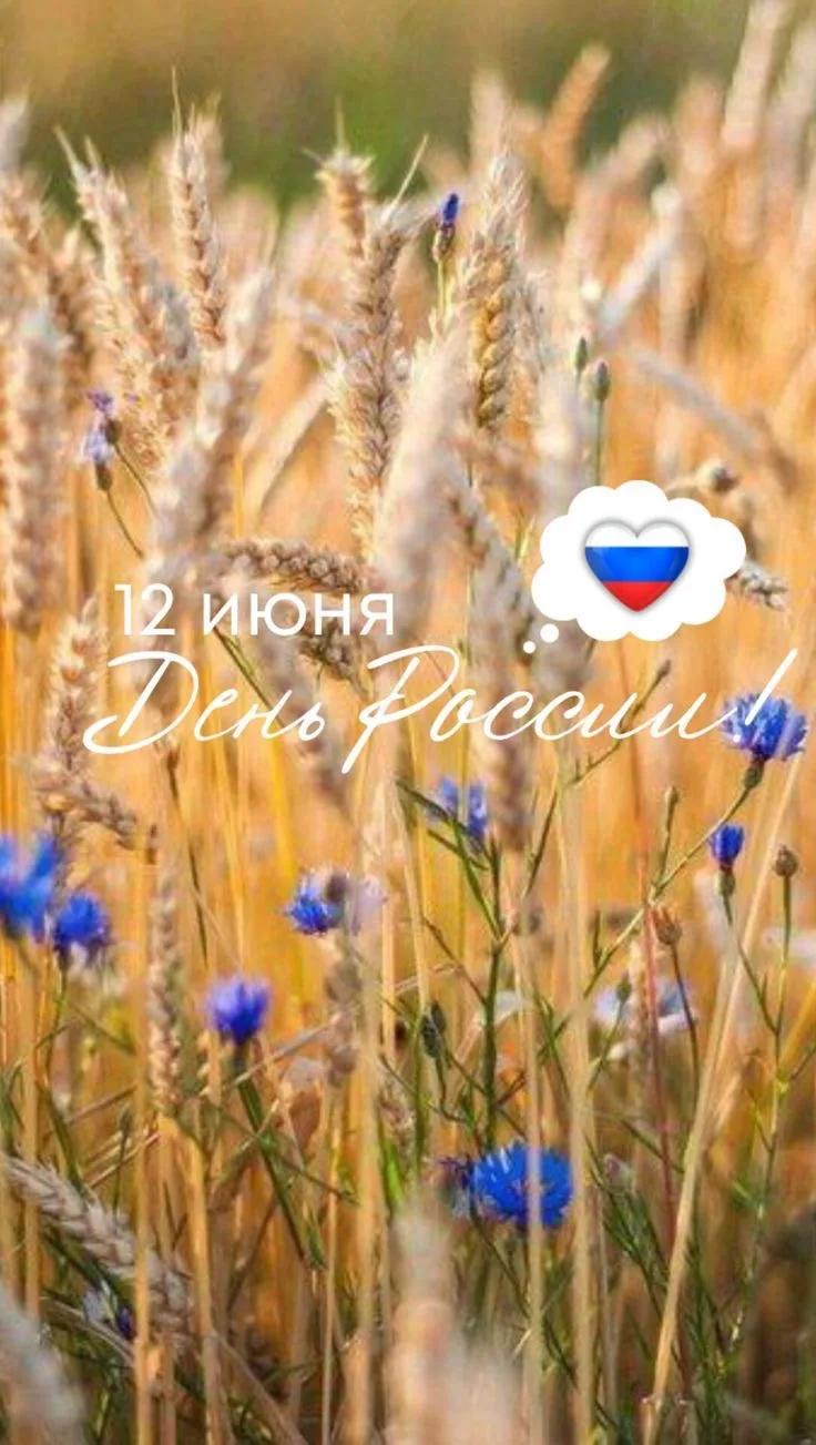Знаете, в чём главная магия России? В её людях и просторах. 🍃

     Можно бесконечно смотреть на за