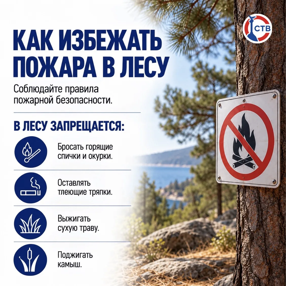 Севастопольские леса снова открыты для посещения