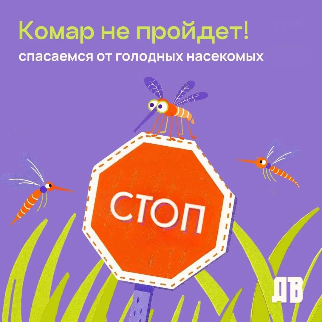 Комар не пройдет! Спасаемся от голодных насекомых.