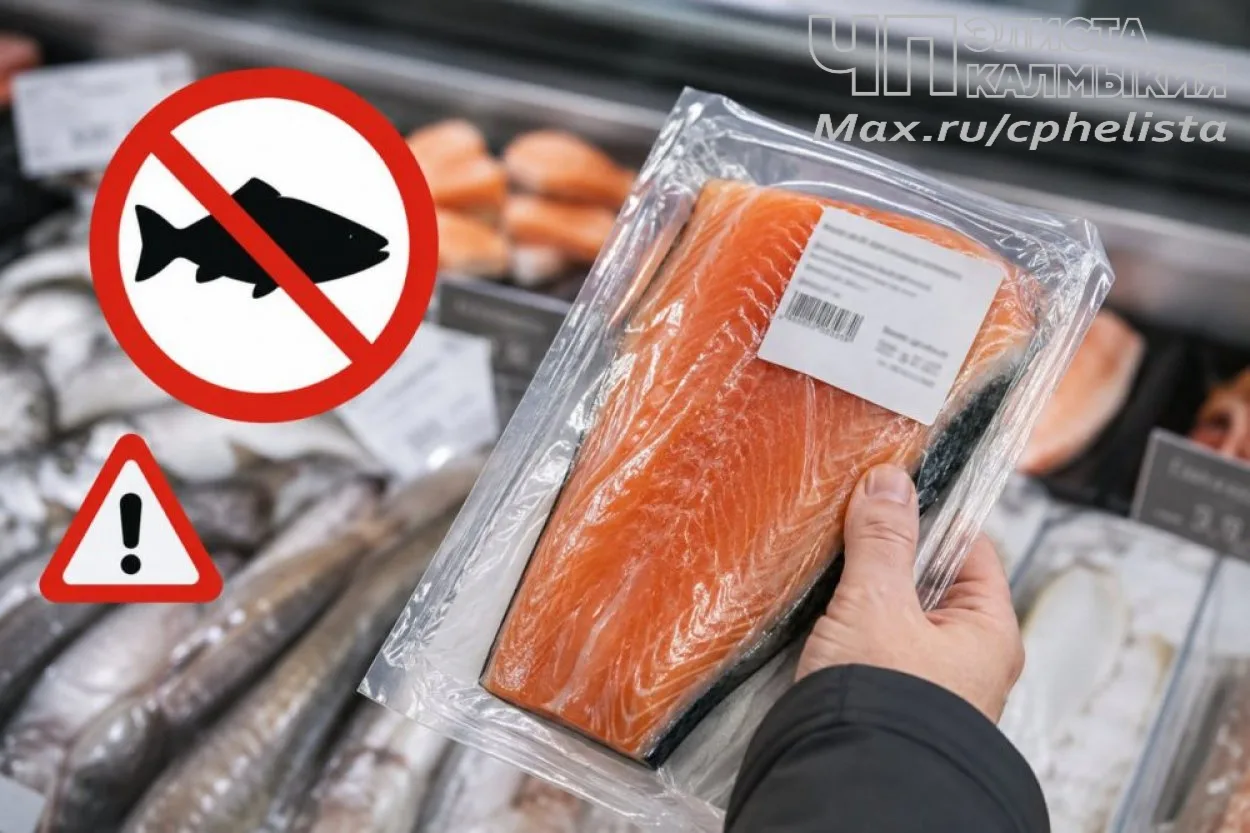 ⚠️В Калмыкии может продаваться опасная для жизни и здоровья семга от предприятия-призрака

Жителей К