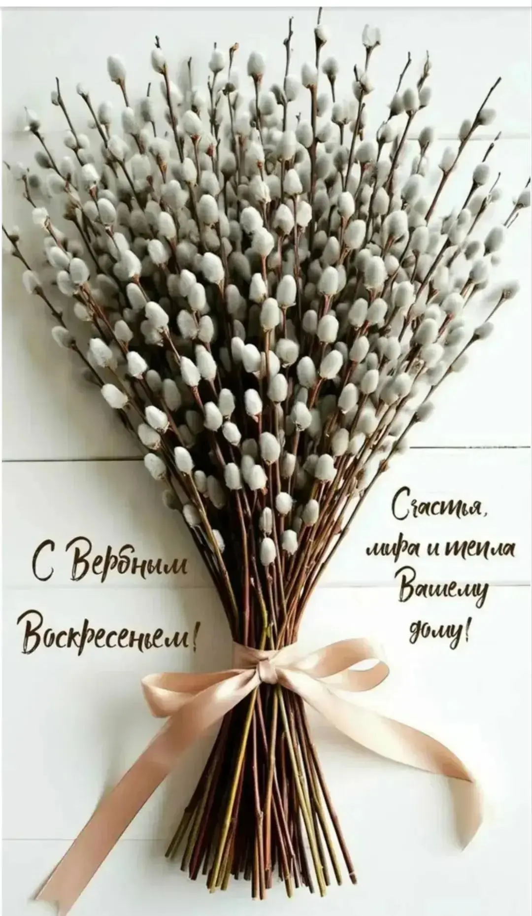 С Вербным воскресеньем!