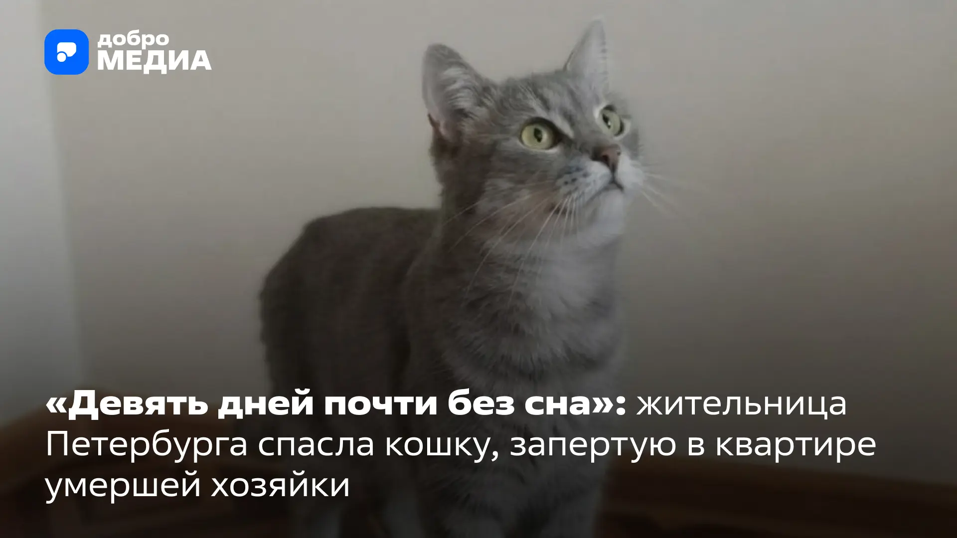 Десять дней в запертой квартире без возможности выбраться – так могла закончиться истор...