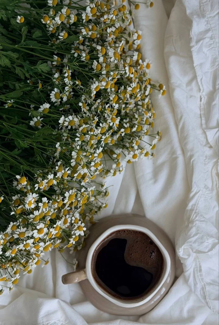 Доброе утро ☀️