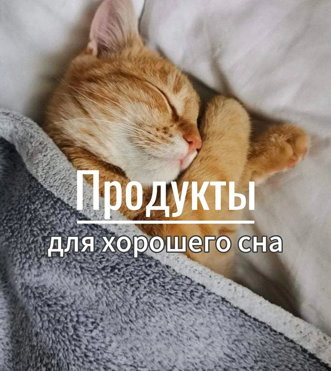 На ночь глядя: продукты для хорошего сна 🌙