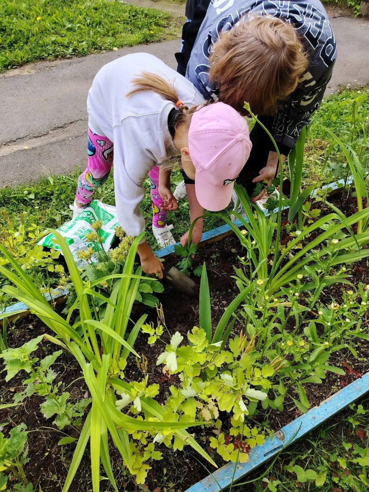 👧👦 Маленькие руки — большая работа!
  
  Наши дошколята показали, что даже в 4–6 лет можно внести 