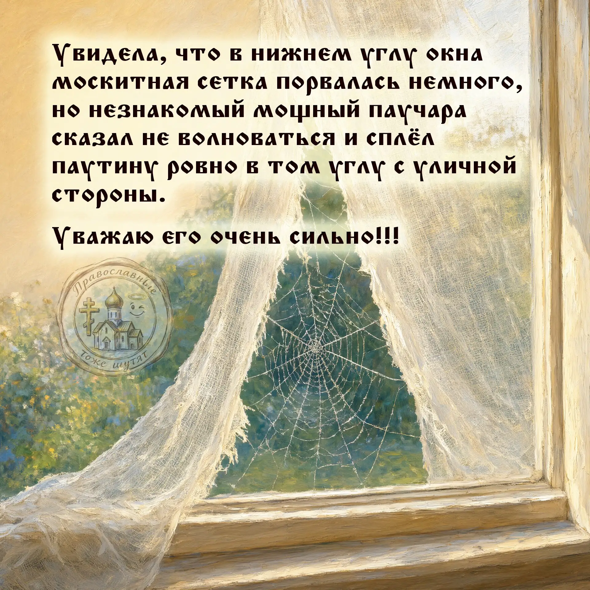 Бог создал пауков не зря 🥰