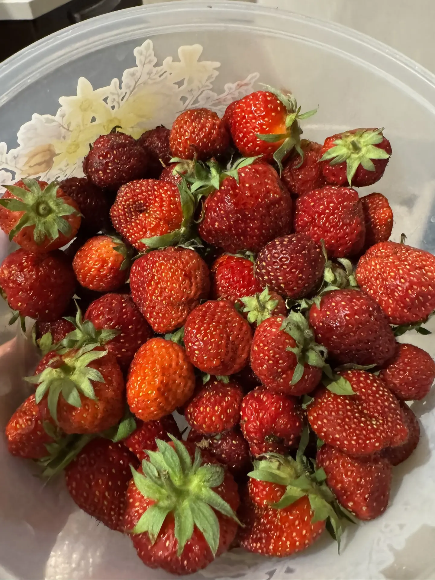 Сей часье ❤️

#мойлайф

С любовью, Татьяна ❤️
Худеем! ПП РЕЦЕПТЫ ЗОЖ