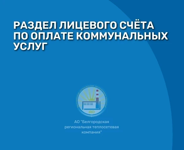 РАЗДЕЛ ЛИЦЕВОГО СЧЁТА. ДЛЯ ЧЕГО И В КАКИХ СЛУЧАЯХ НЕОБХОДИМА ДАННАЯ ПРОЦЕДУРА?