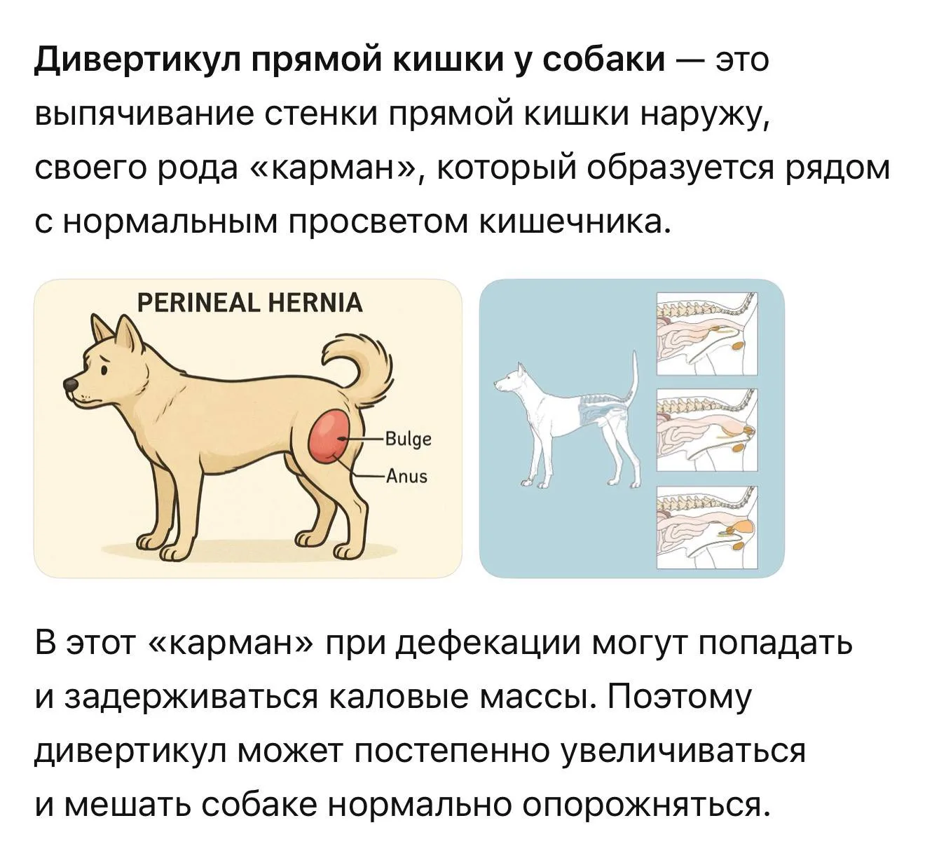 А вы знали, что в бедре может обнаружиться ВОТ ЭТО?