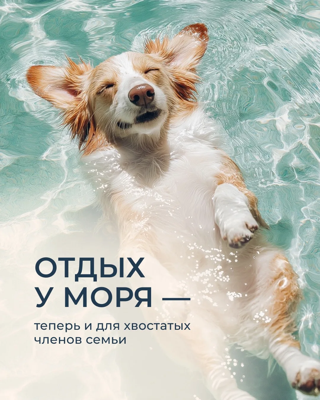 Рассказали как организовано пребывание с питомцами: куда можно, что взять с собой и на ...