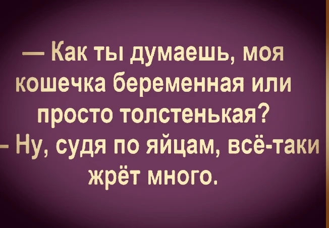 Когда кошечка не оправдала доверия... 😂🤣😂