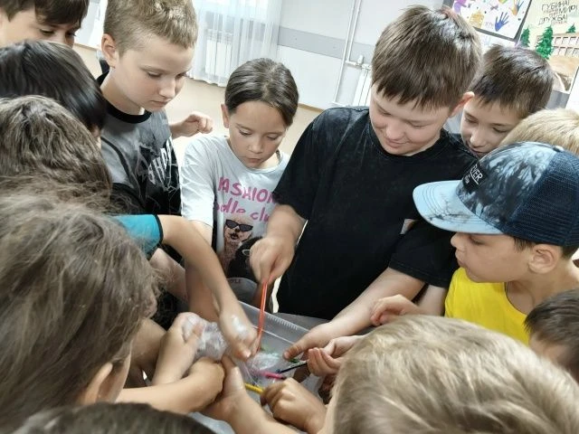 День науки и технологий
Для отдыхающих в Детском оздоровительном лагере имени А.Д. Губина сотрудник 