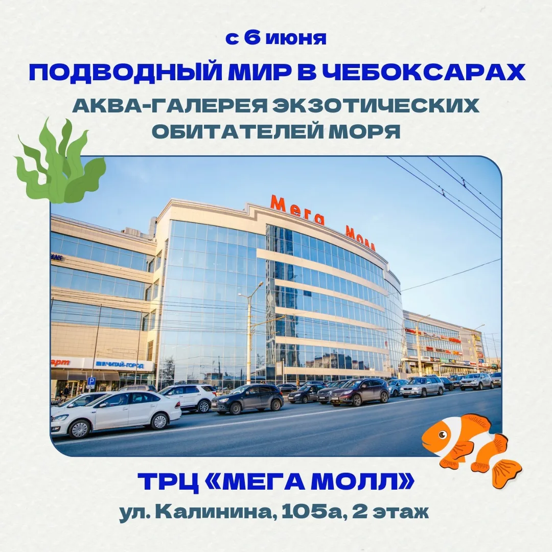 Чебоксары, встречайте выставку экзотических рыб «ПОДВОДНЫЙ МИР» 🐠💙         С 6 ИЮНЯ
📍ТРЦ "Мега Мо