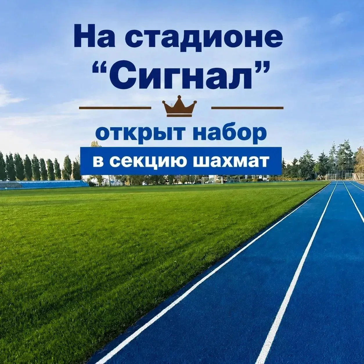 В Энгельсском районе с каждым годом растет количество любителей шахмат. За шахматной до...