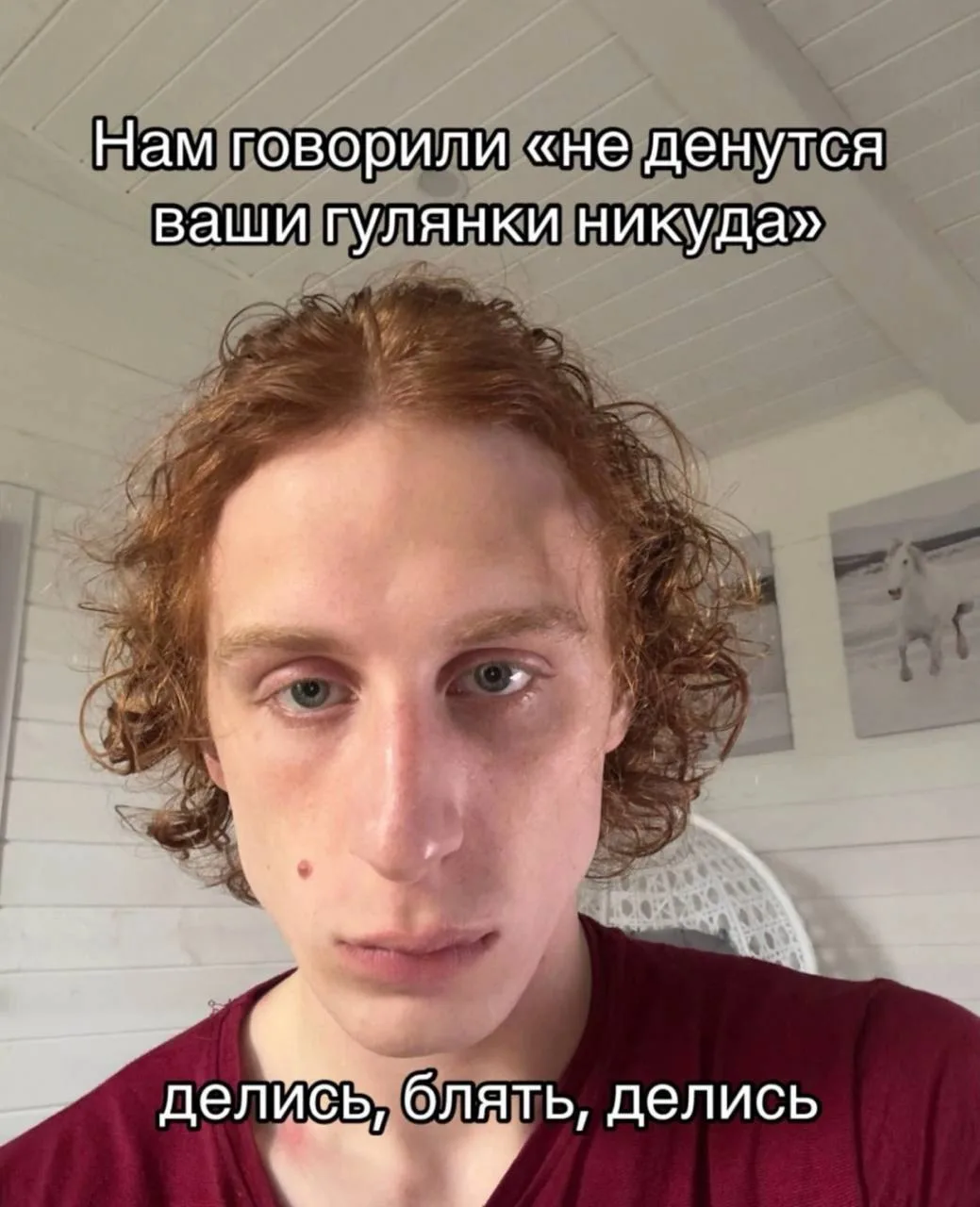 🤣🤣🤣