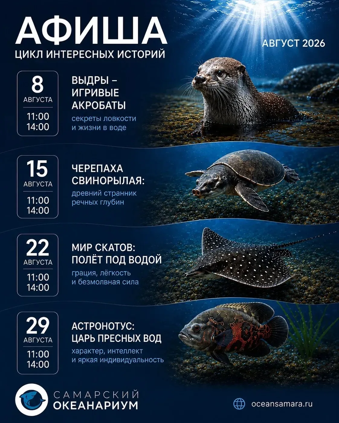 🌊 ЦИКЛ ИНТЕРЕСНЫХ ИСТОРИЙ В САМАРСКОМ ОКЕАНАРИУМЕ

Август — месяц новых открытий и удивительных вст