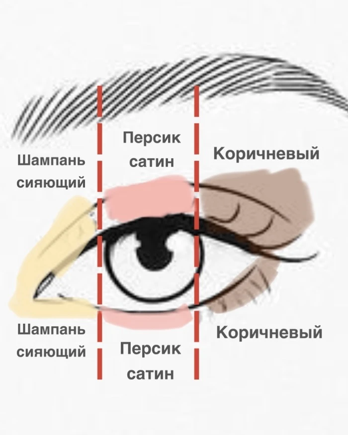 Схема, о которой я говорила в сегодняшнем видео

Простая и универсальная шпаргалка нанесения теней. 