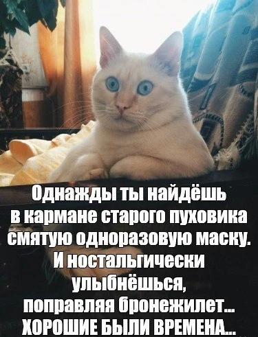 🐾  Не паникуем! Разбираемся с шумихой вокруг кошачьей вакцины