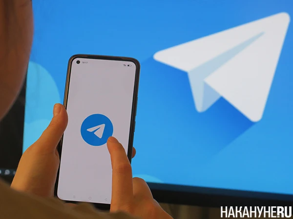❗️Основателя Telegram внесли в перечень террористов и экстремистов в России 

Павла Дурова внесли в 
