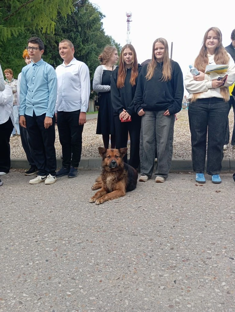 🐾Уже несколько экзаменов подряд наших выпускников сопровождают "верные друзья", и сегодняшний экзам