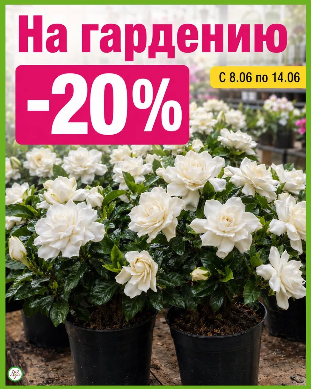 🌸✨ АРОМАТНАЯ НЕДЕЛЯ В «ПЛАНЕТЕ ЛЕТА»! ✨🌸