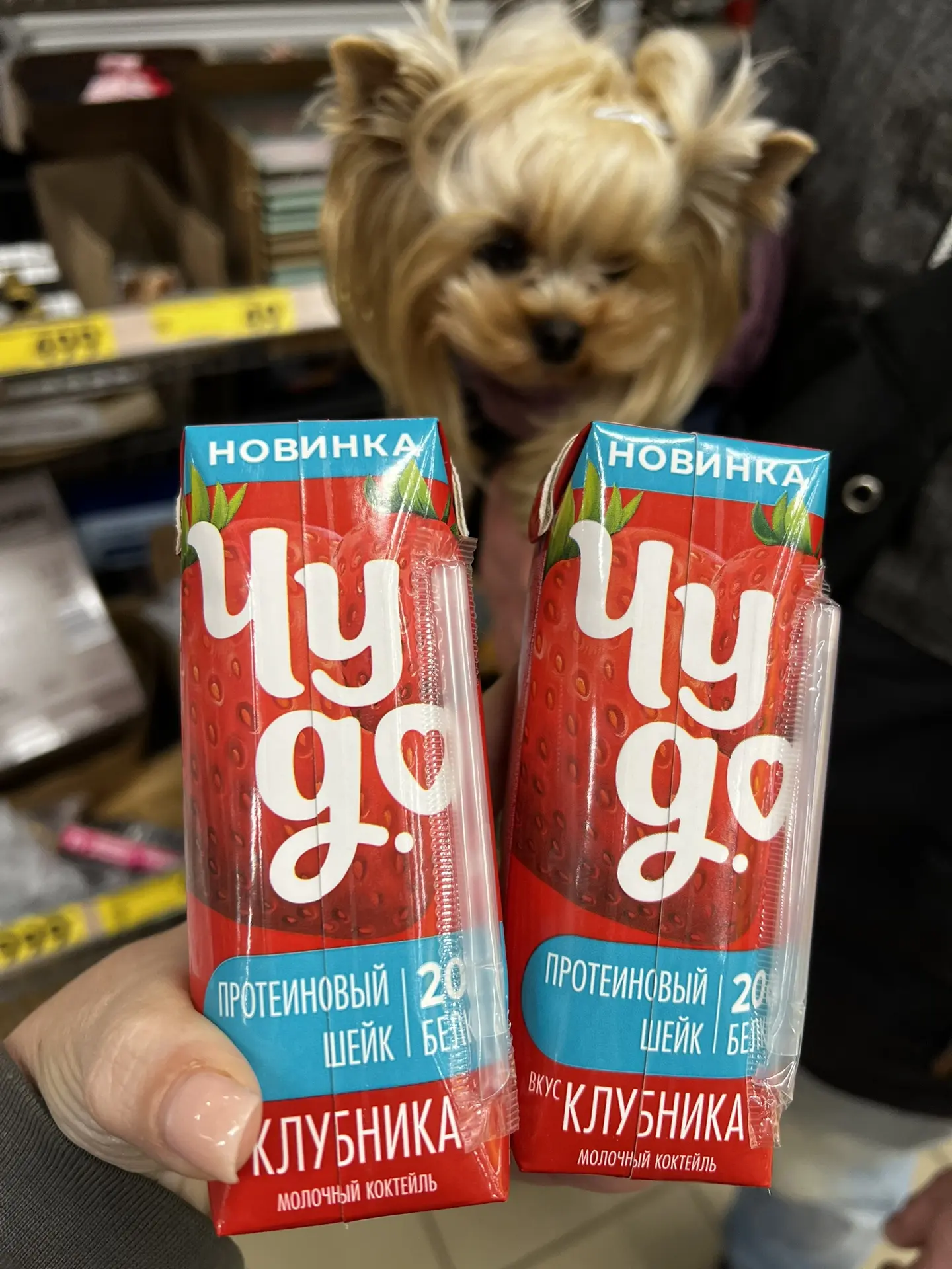 У нас в чижике появилось Чудо ❤️