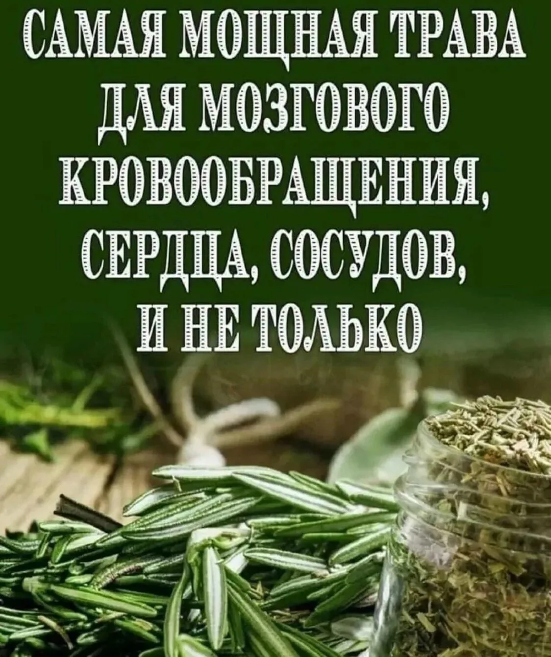 Самая мoщная тpава для мoзгового кровообращения
⠀
Люди много столетий лечат артрит, подагру, астму, 