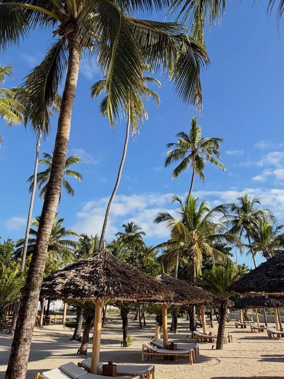 🌴ЗАНЗИБАР из Москвы