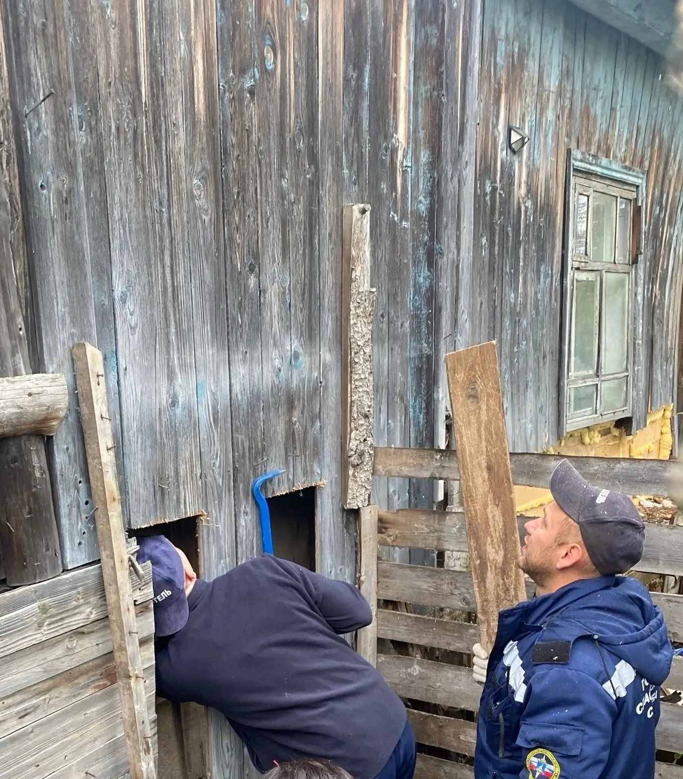 Собака в беду попадака