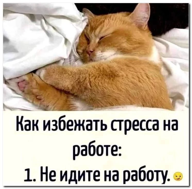 Дурилка картонная