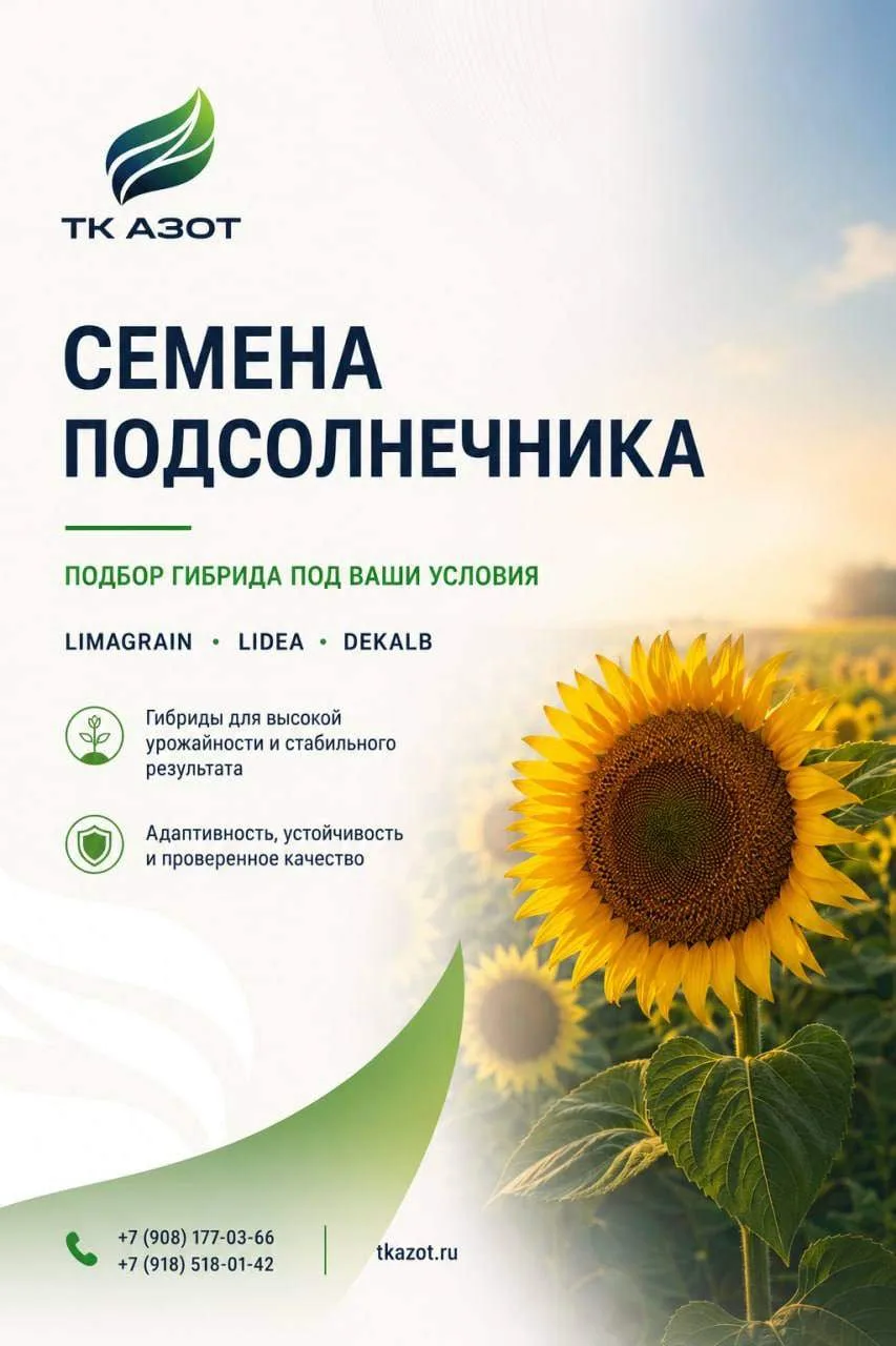 🌻 СЕМЕНА ПОДСОЛНЕЧНИКА: ПОДБЕРЁМ ГИБРИД ПОД ВАШИ УСЛОВИЯ🌻
