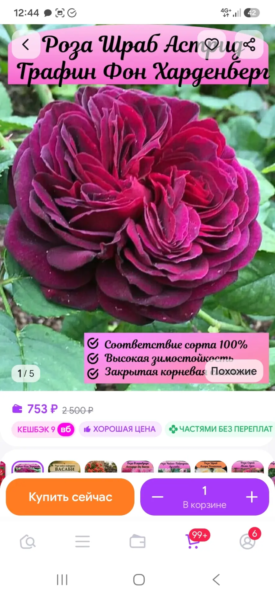 Здравствуйте,  уважаемые садоводы.