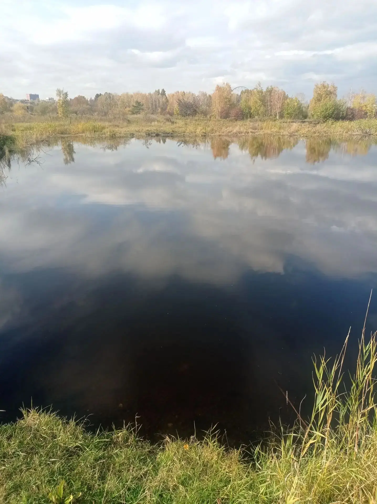 Прогноз погоды