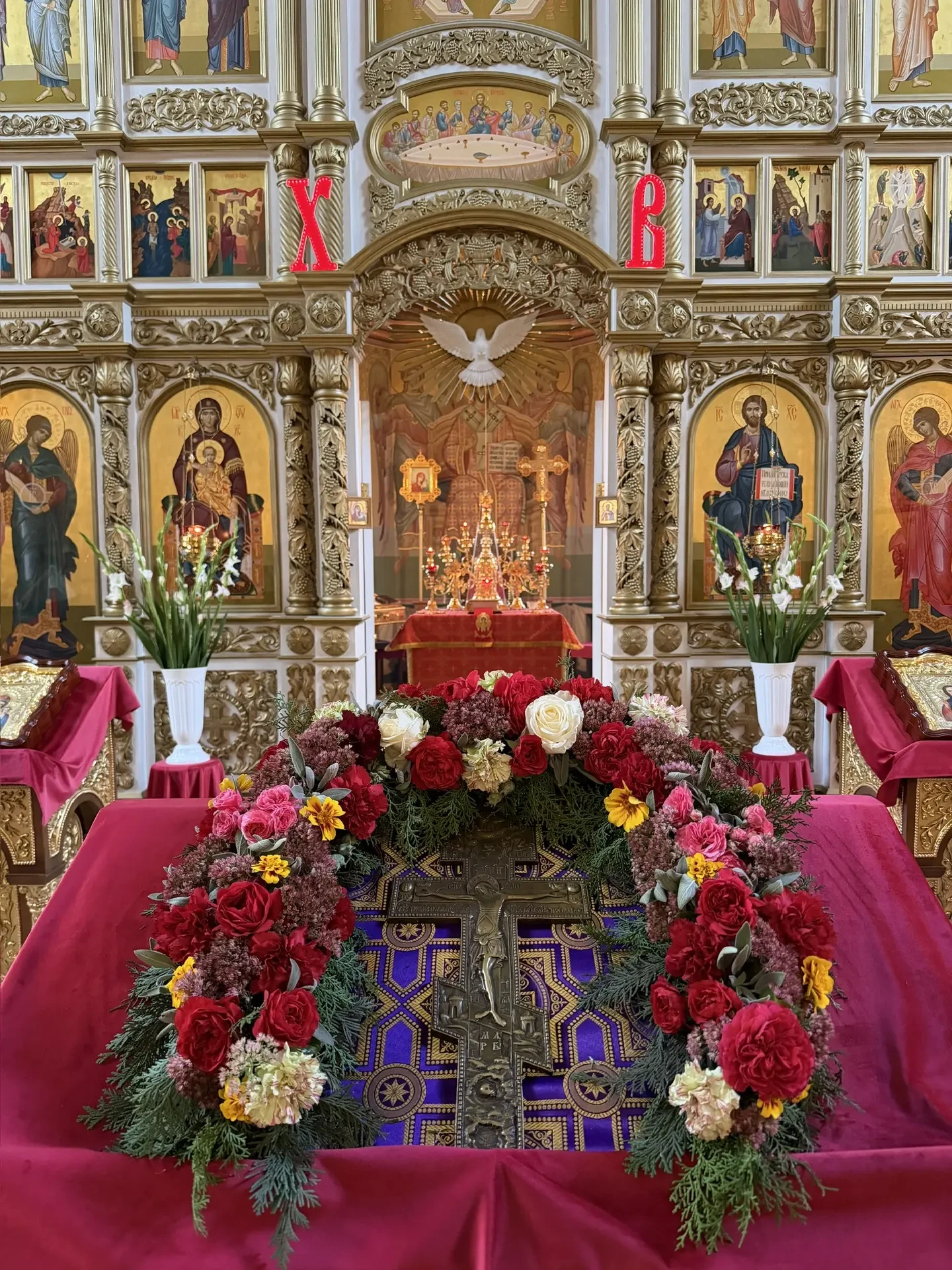 Фото дня