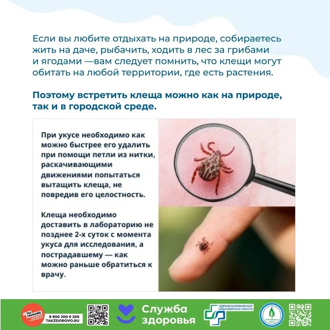 ОСТОРОЖНО: КЛЕЩИ!