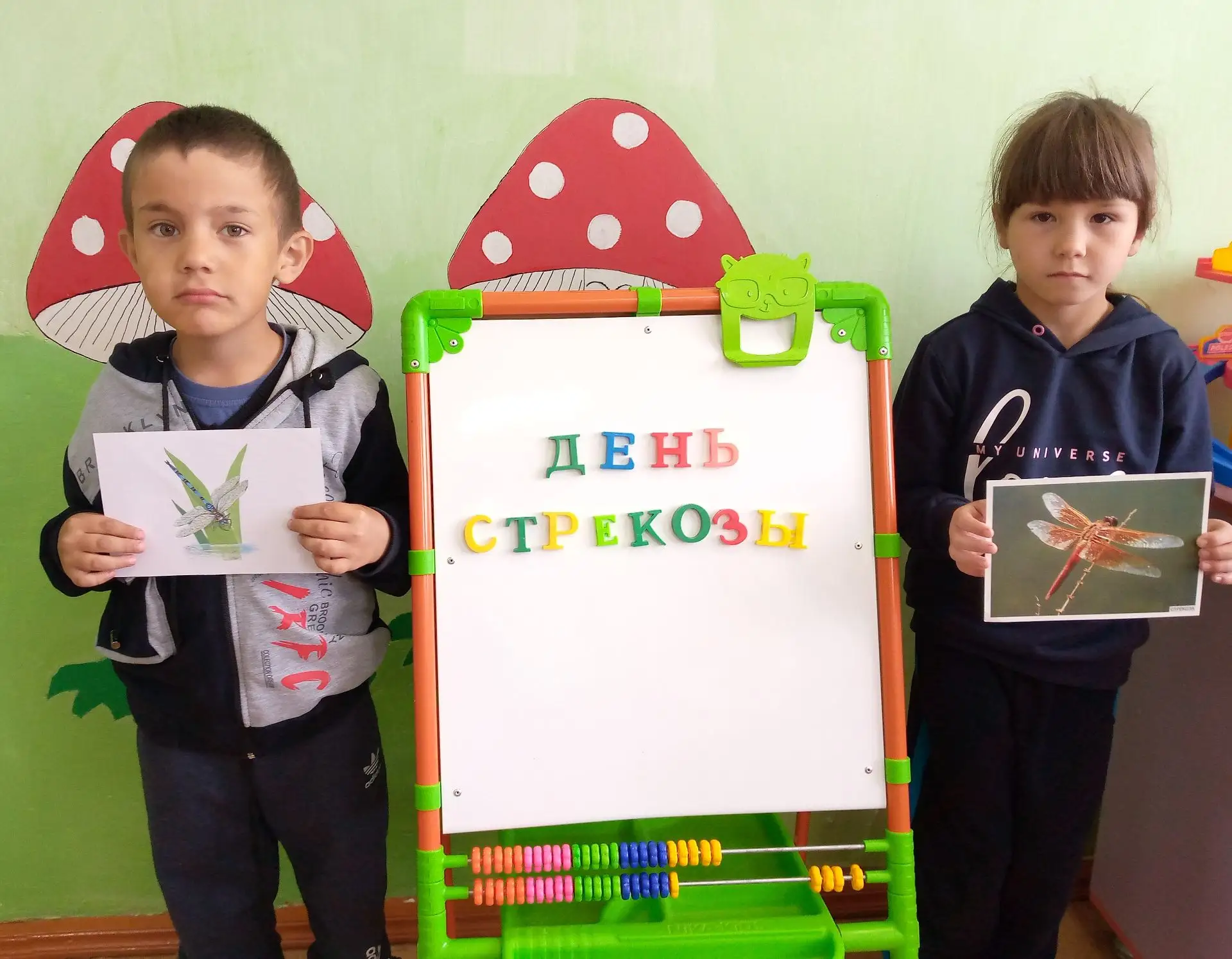 Стрекозы - красивые насекомые, напоминающие бабочек. Они – настоящие воздушные акробаты, могут летат