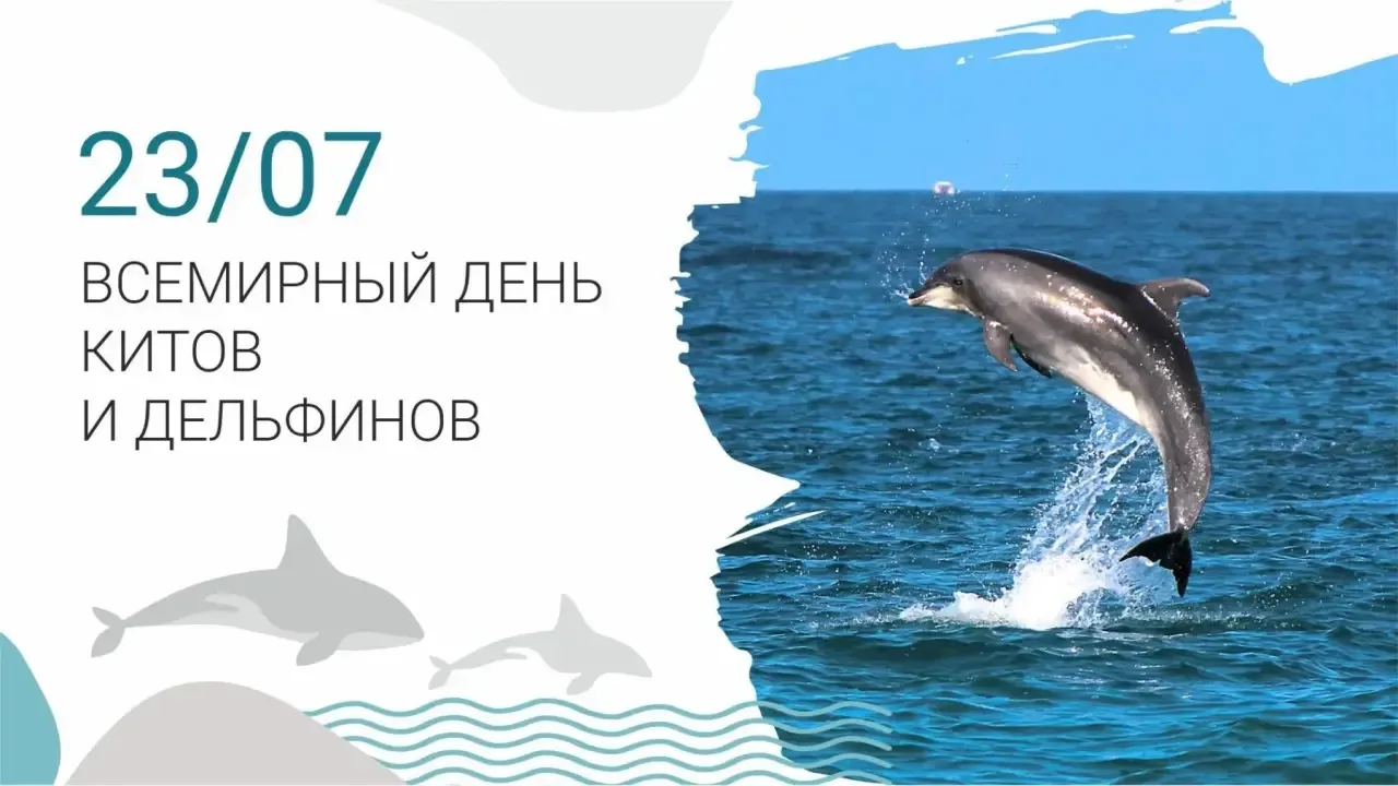 🌊 СЕГОДНЯ ИХ ГОЛОСА ДОЛЖНЫ ЗВУЧАТЬ ГРОМЧЕ ВСЕХ! 🐋

Друзья, 23 июля — день, когда мы говорим о самы