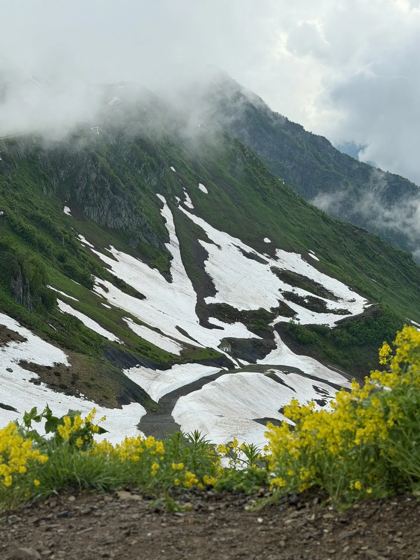 Как мы готовим юных туристов к походам? ⛰️

В БУ ДО «ОДЮЦТиК» действует Маршрутно-квалификационная к