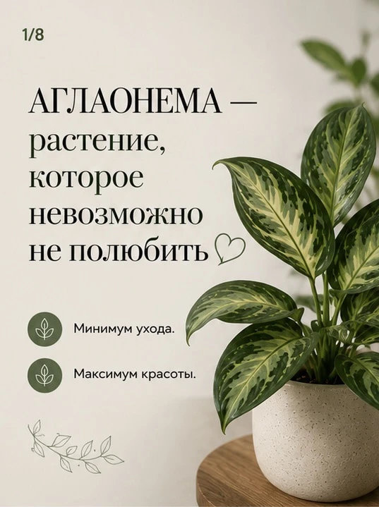 Уже завтра мы перевернем страничку нашего Зеленого календаря и выберем новое растение благодарности 