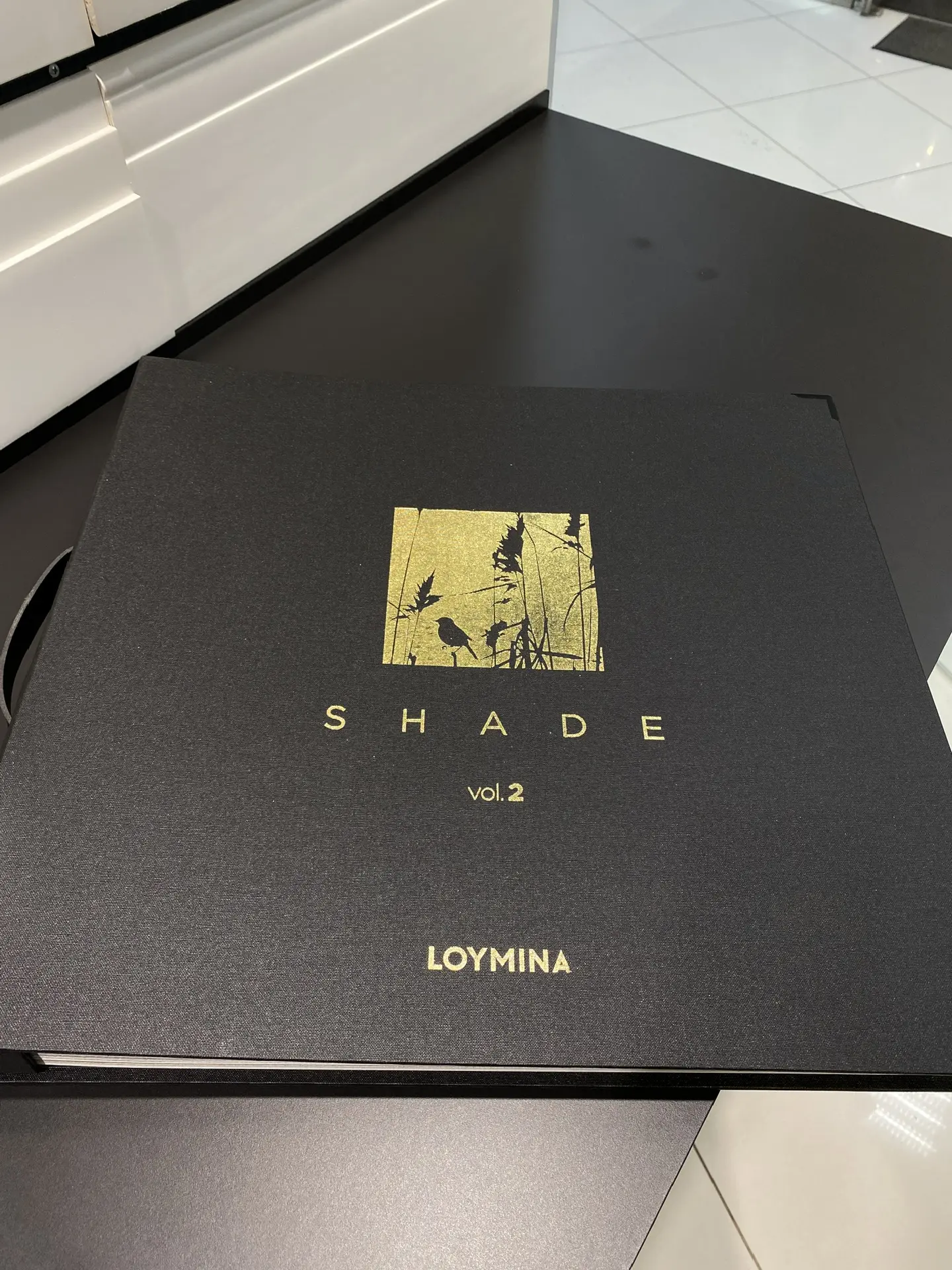 Shade vol. 2 | Шейд 2 – это коллекция однотонных флизелиновых обоев, превосходного качества, которое