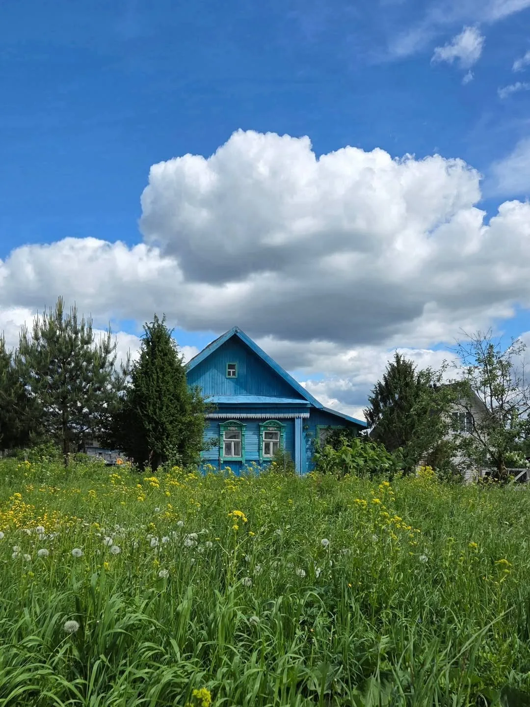 Деревенские сюжеты из мая 😇