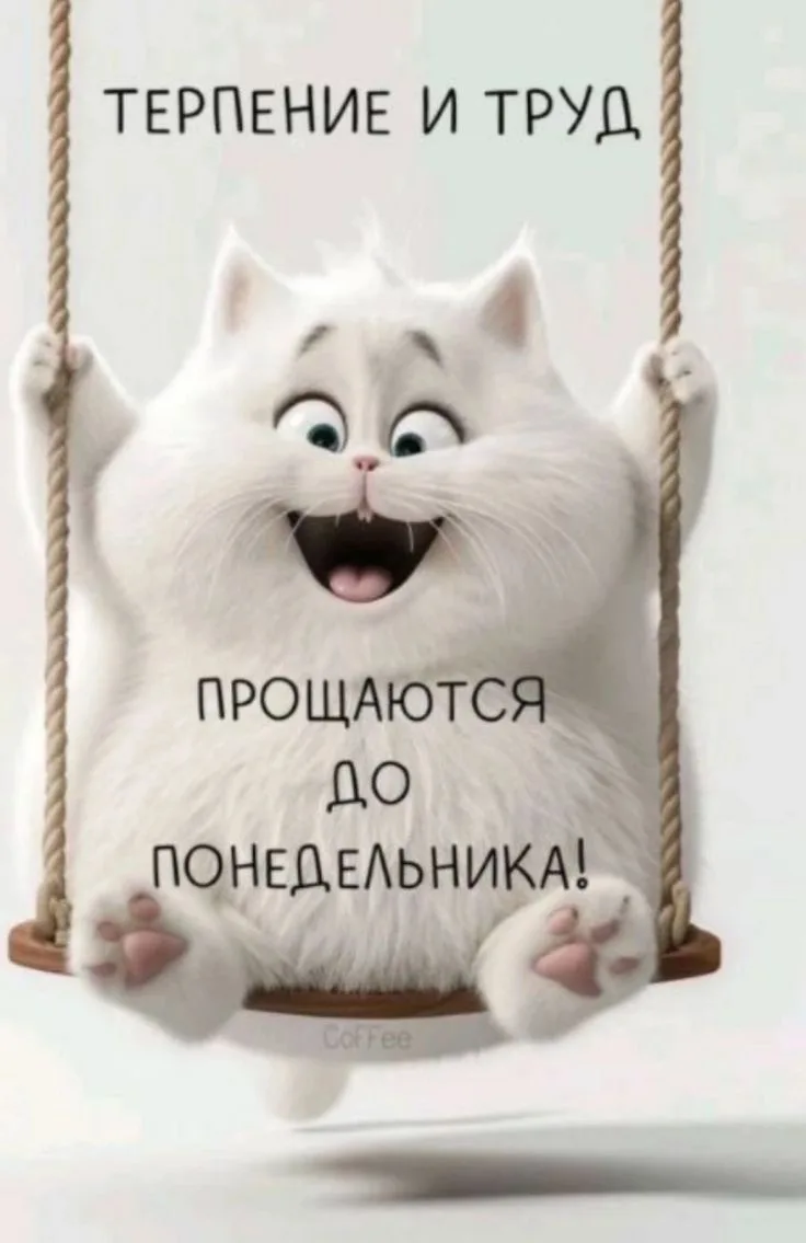 Ура, впереди выходные 😍