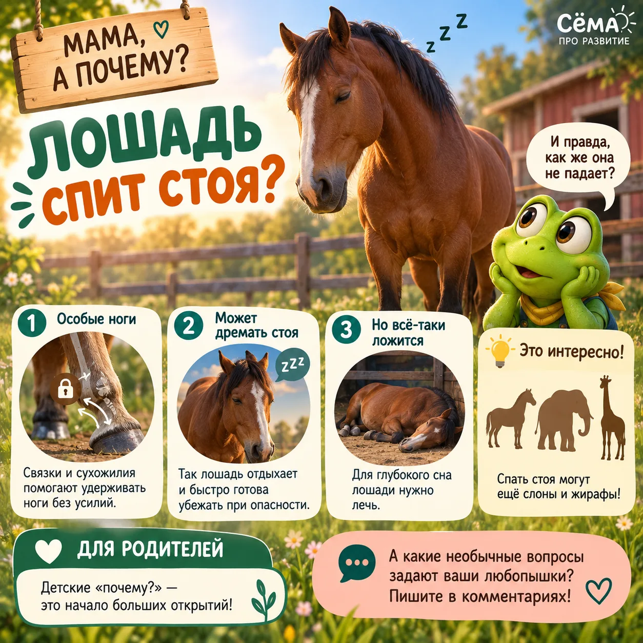 🐴 Мама, а почему лошадь спит стоя?